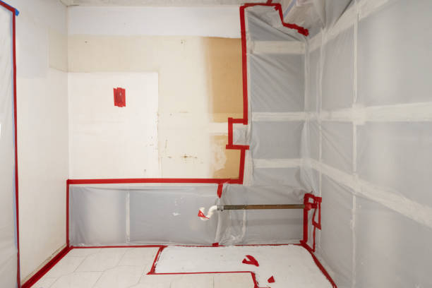 Best Mold Removal for HVAC Installations  in Peaceful Valley, WA