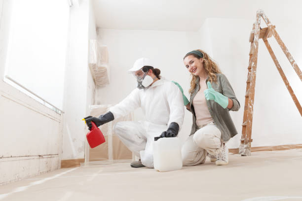 Best Emergency Mold Remediation  in Peaceful Valley, WA